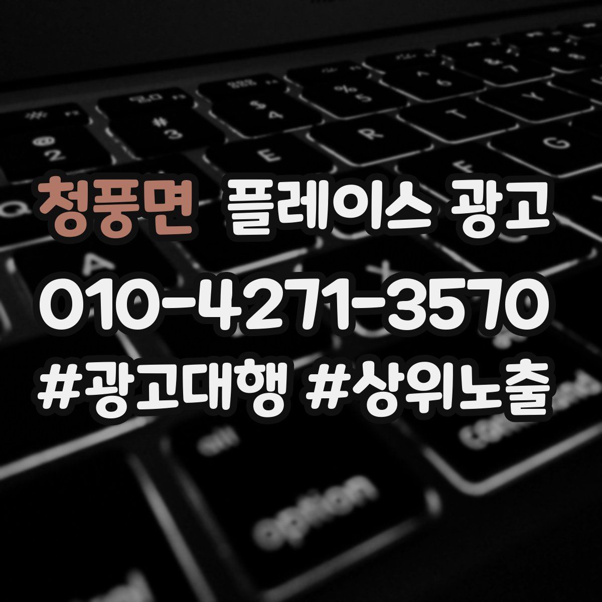 청풍면 플레이스 광고