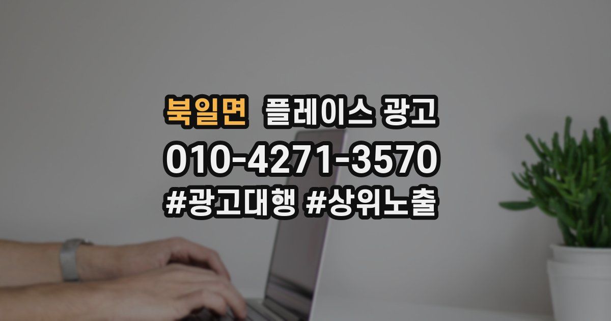 북일면 플레이스 광고