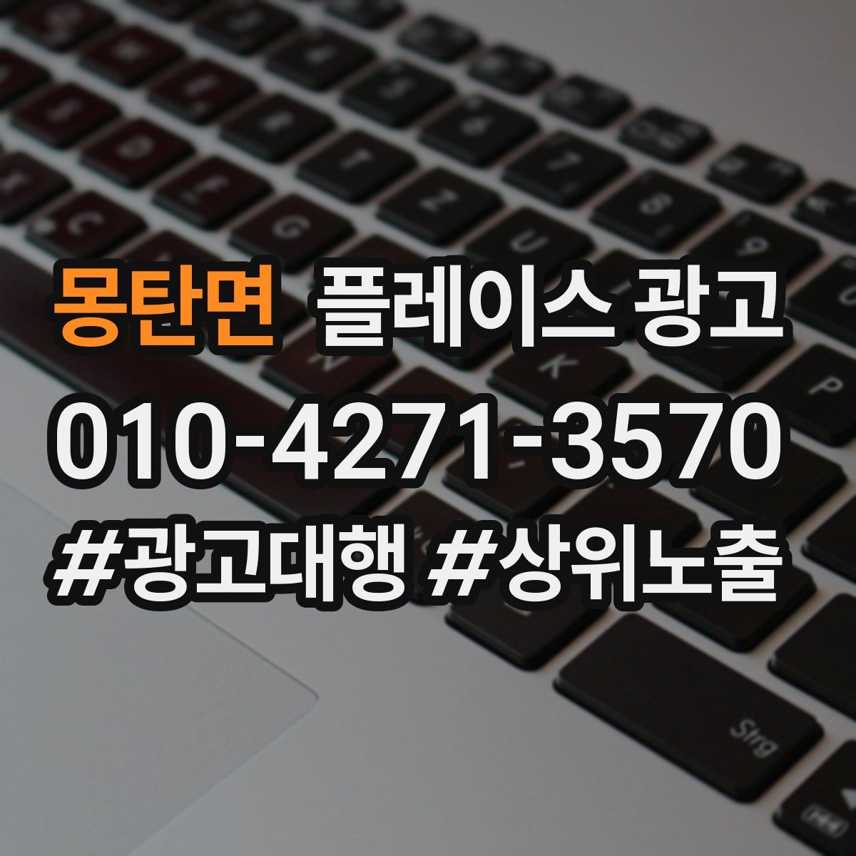 몽탄면 플레이스 광고