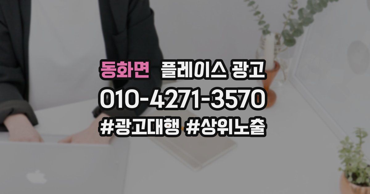 동화면 플레이스 광고