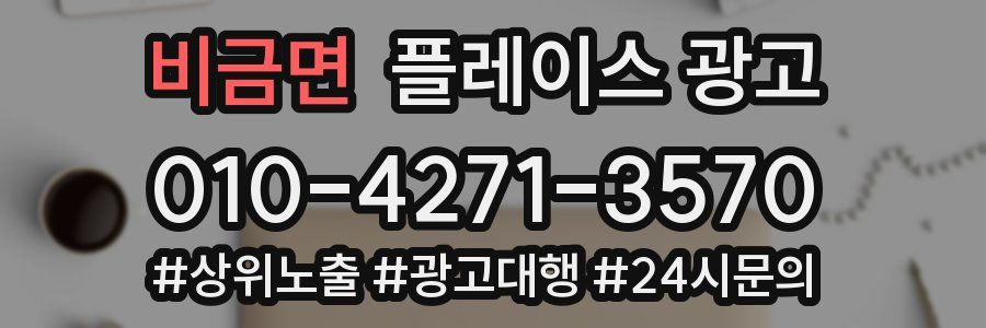 비금면 플레이스 광고
