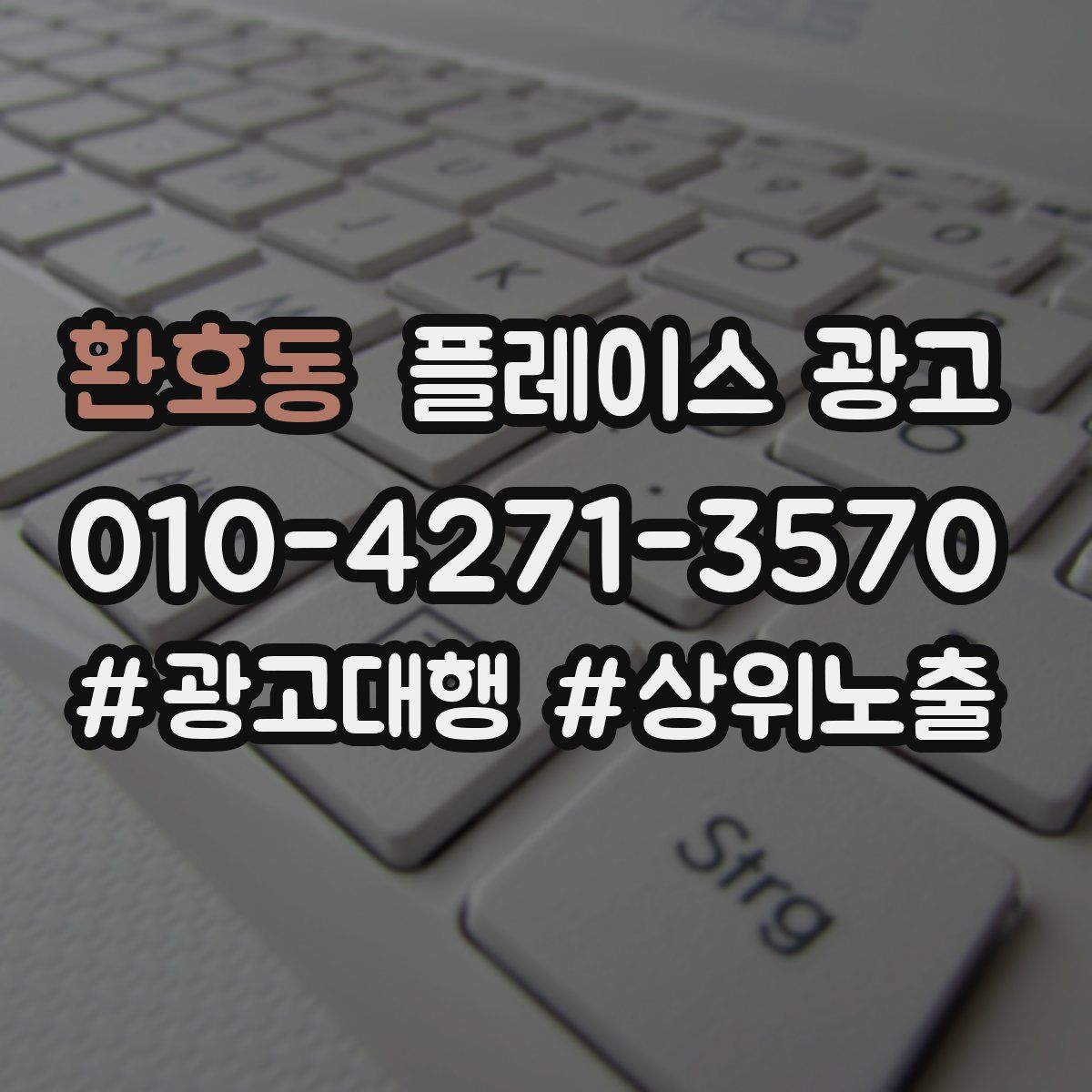 환호동 플레이스 광고
