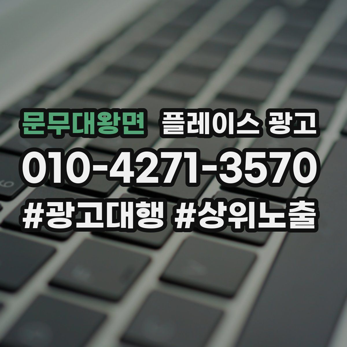 문무대왕면 플레이스 광고