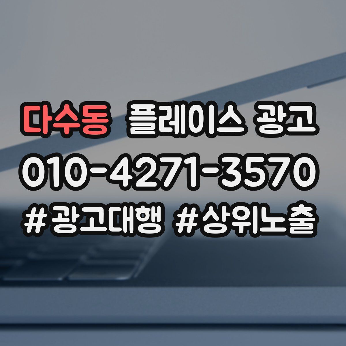 다수동 플레이스 광고