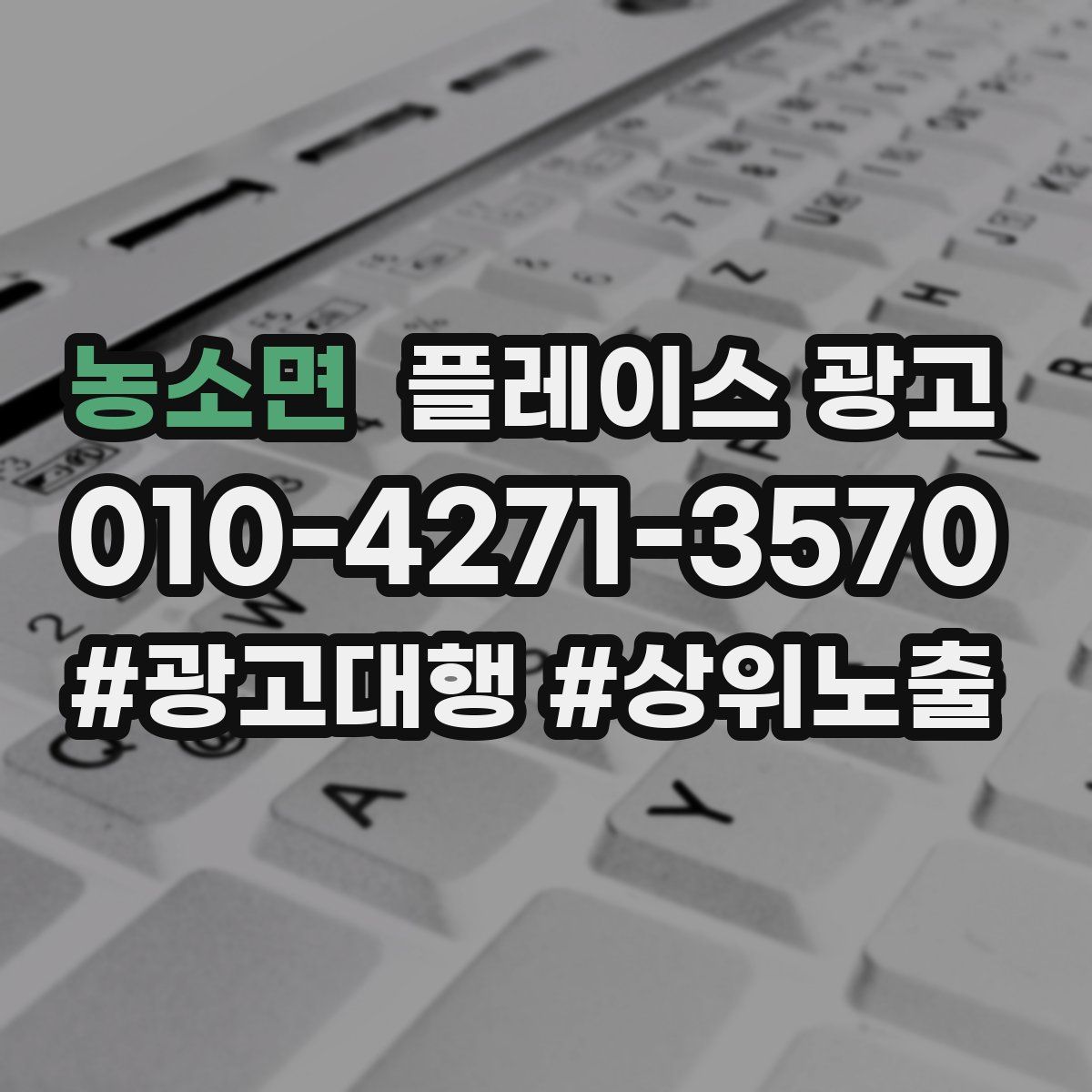 농소면 플레이스 광고
