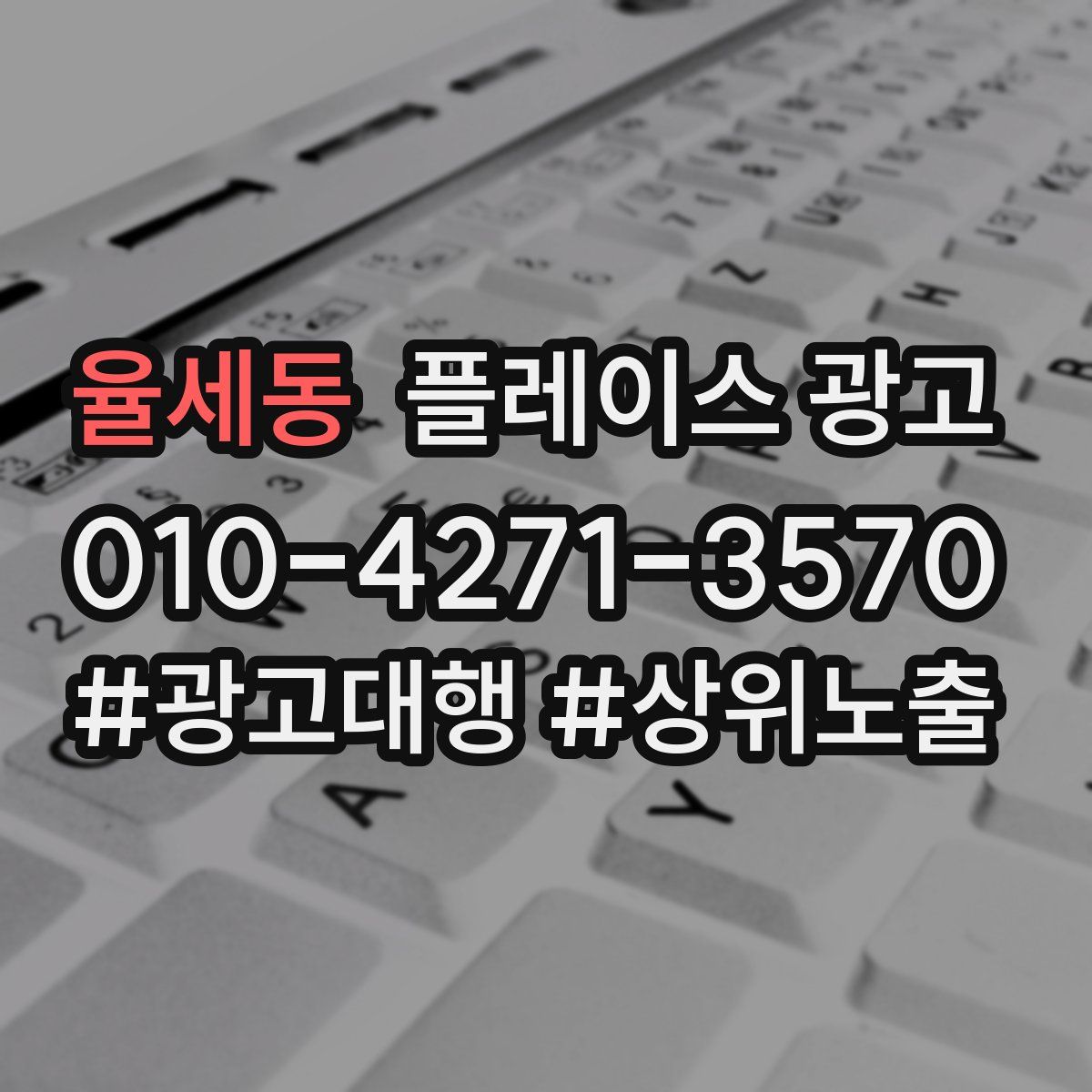 율세동 플레이스 광고