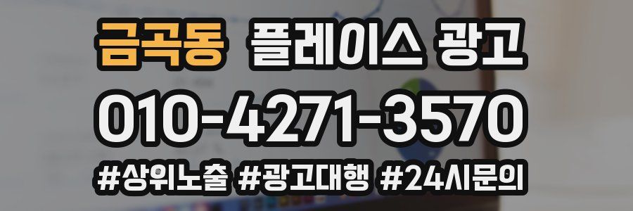 금곡동 플레이스 광고