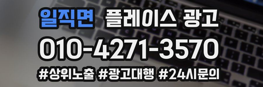 일직면 플레이스 광고