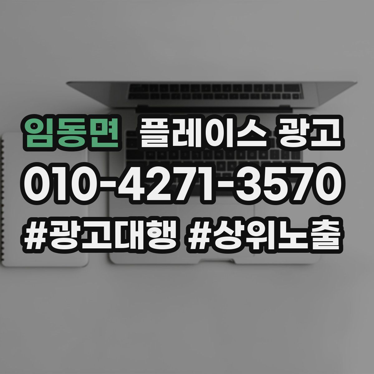 임동면 플레이스 광고