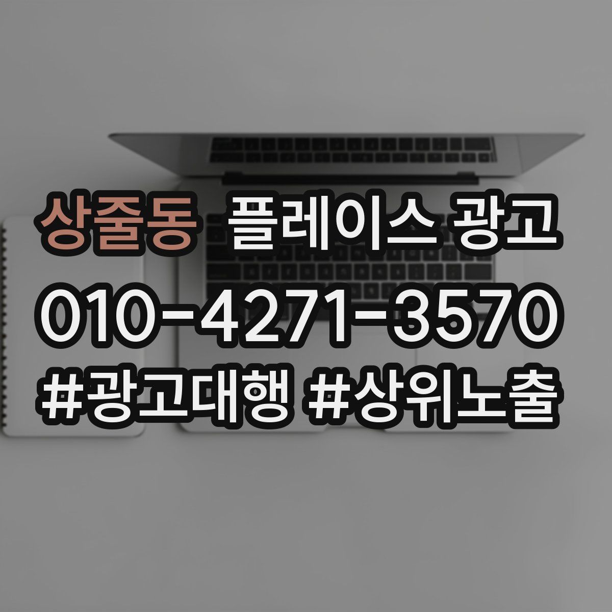 상줄동 플레이스 광고