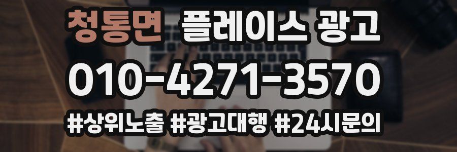 청통면 플레이스 광고