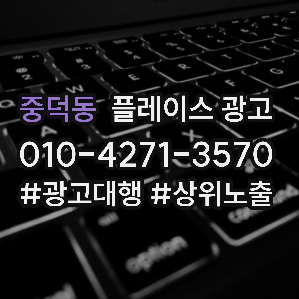 중덕동 플레이스 광고