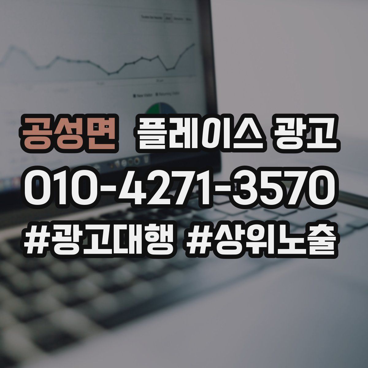 공성면 플레이스 광고