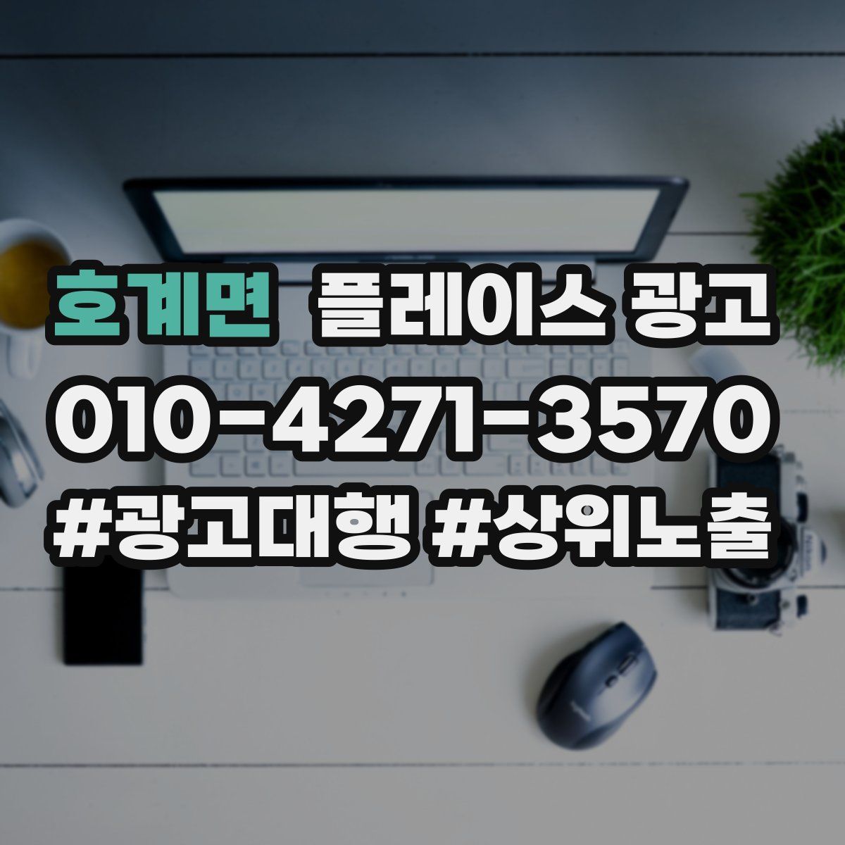 호계면 플레이스 광고