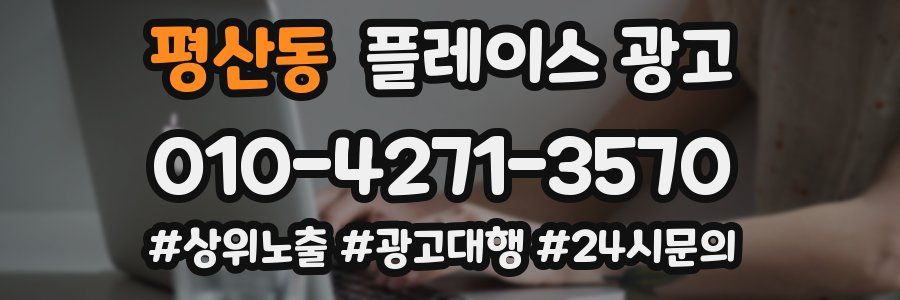 평산동 플레이스 광고