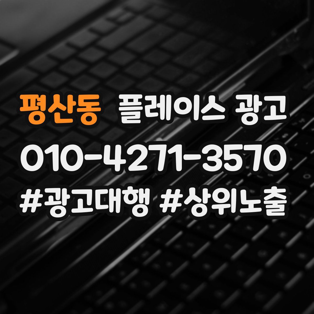 평산동 플레이스 광고