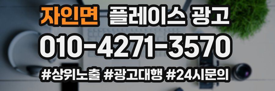 자인면 플레이스 광고