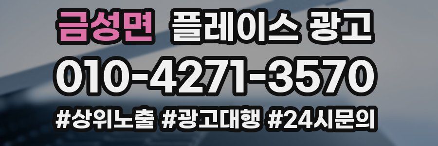 금성면 플레이스 광고
