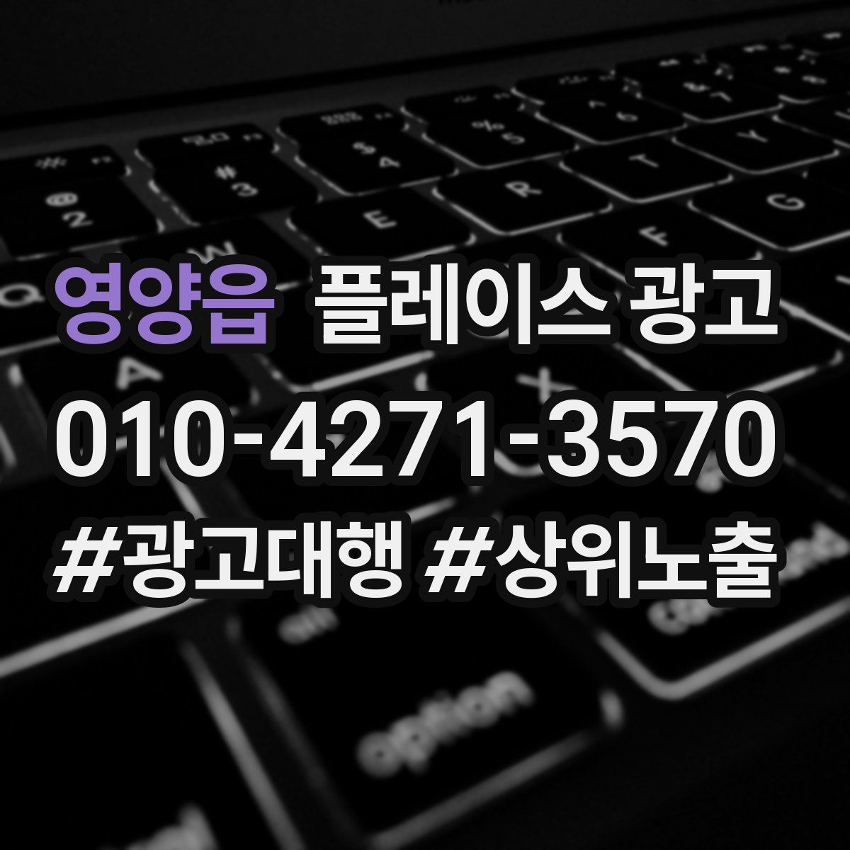 영양읍 플레이스 광고