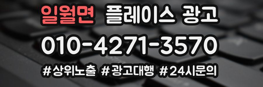 일월면 플레이스 광고