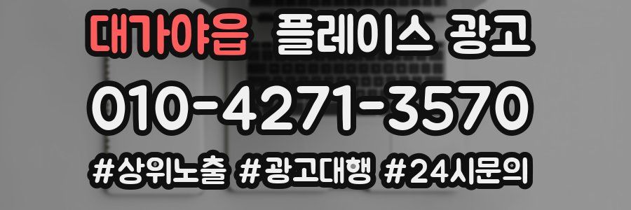 대가야읍 플레이스 광고
