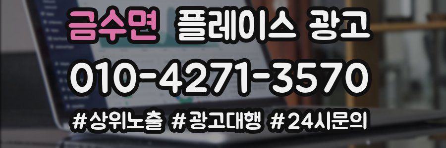 금수면 플레이스 광고