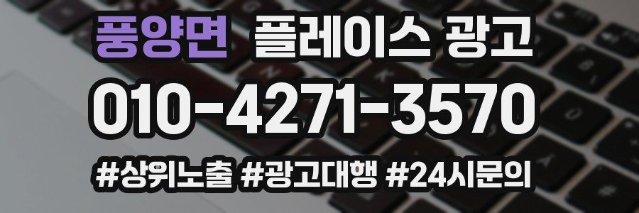 풍양면 플레이스 광고