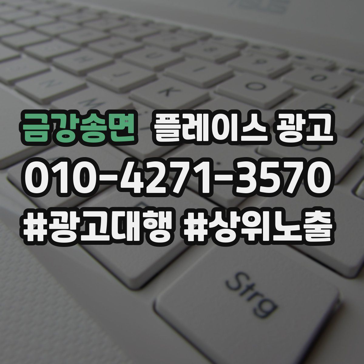 금강송면 플레이스 광고