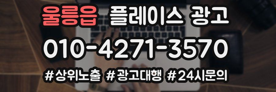 울릉읍 플레이스 광고