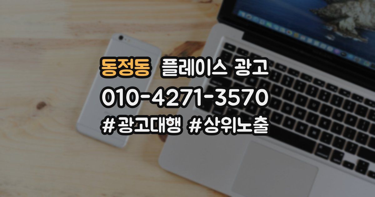 동정동 플레이스 광고