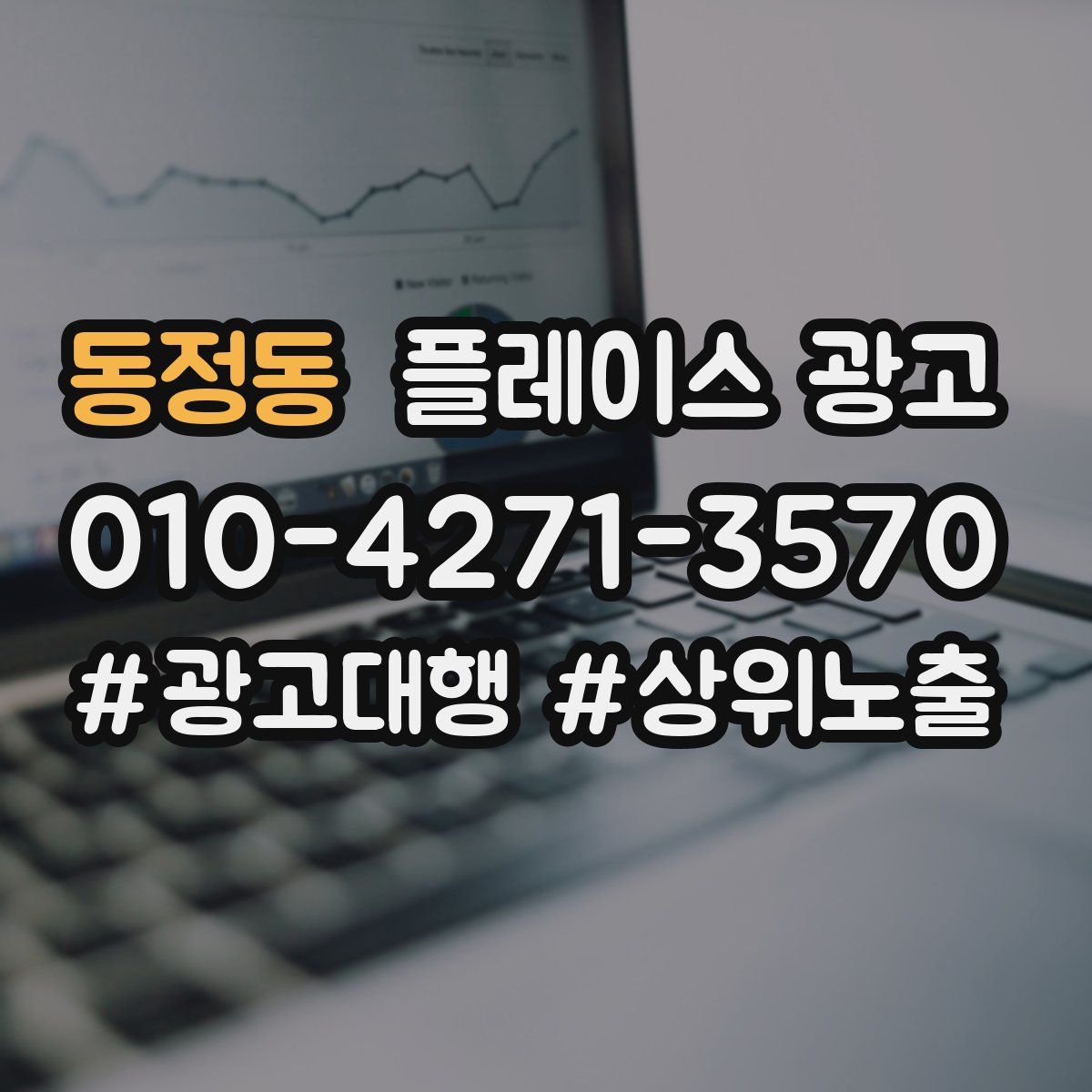 동정동 플레이스 광고
