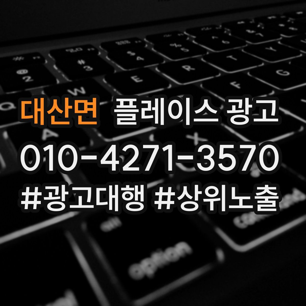 대산면 플레이스 광고