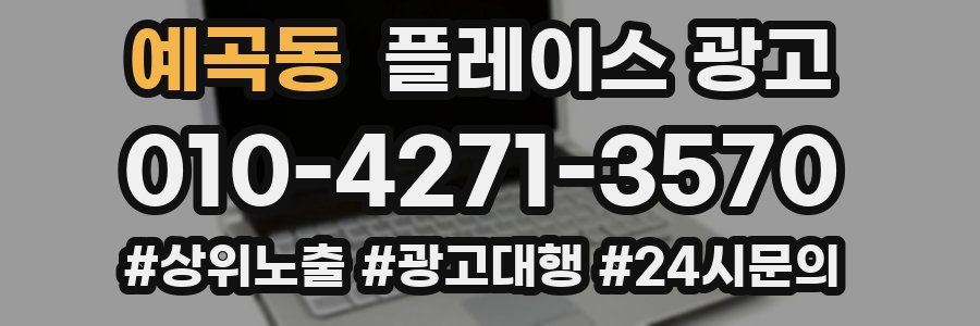 예곡동 플레이스 광고
