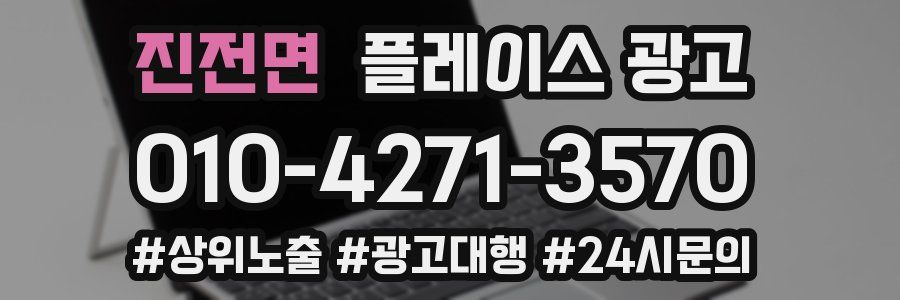 진전면 플레이스 광고