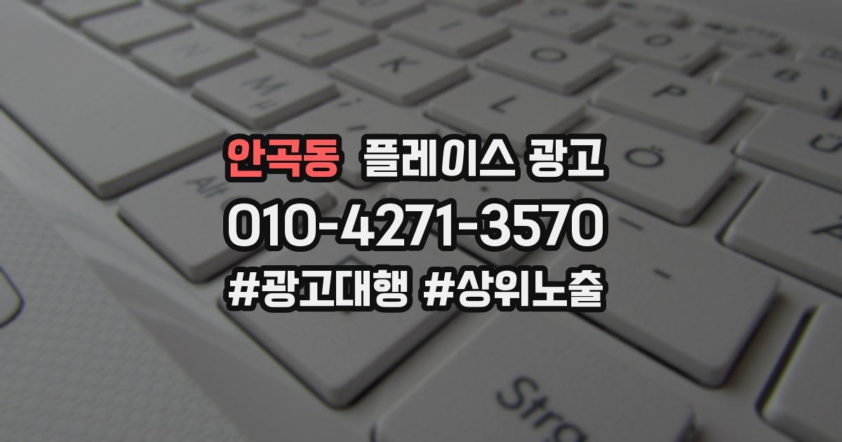 안곡동 플레이스 광고