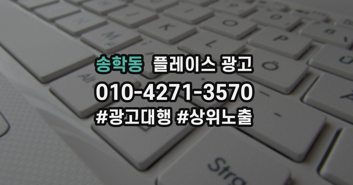 송학동 플레이스 광고