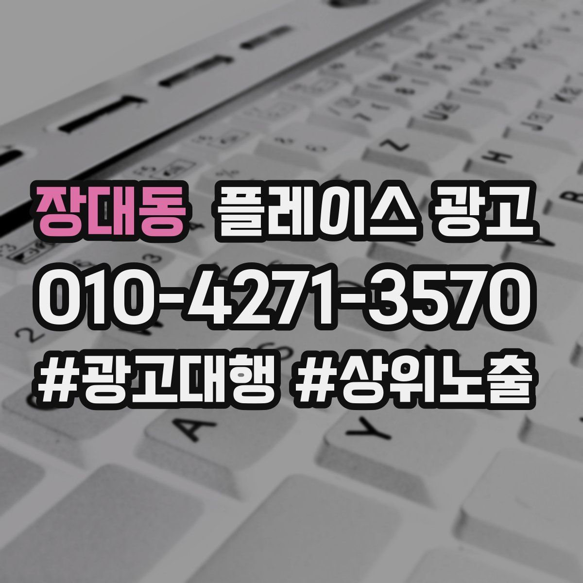 장대동 플레이스 광고