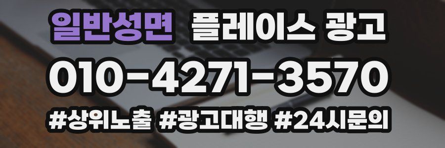일반성면 플레이스 광고