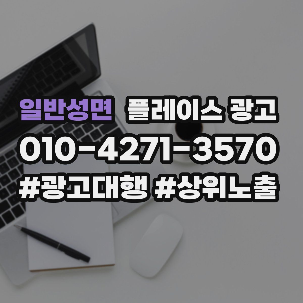 일반성면 플레이스 광고