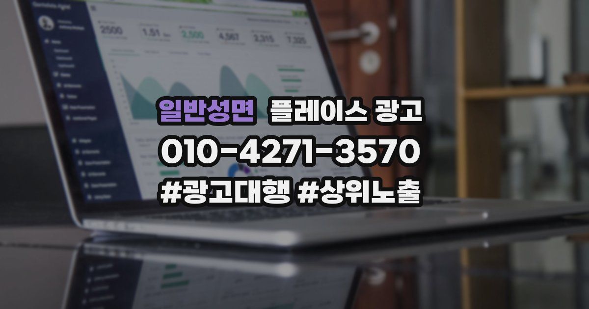일반성면 플레이스 광고