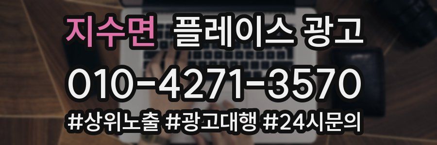 지수면 플레이스 광고