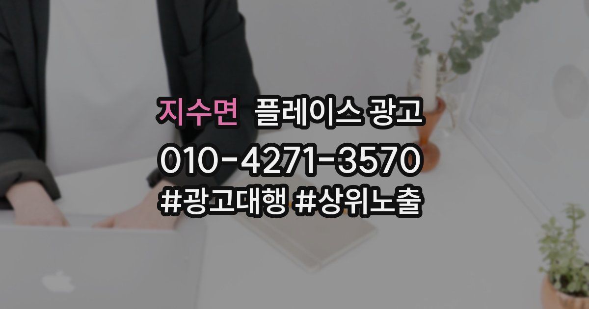 지수면 플레이스 광고