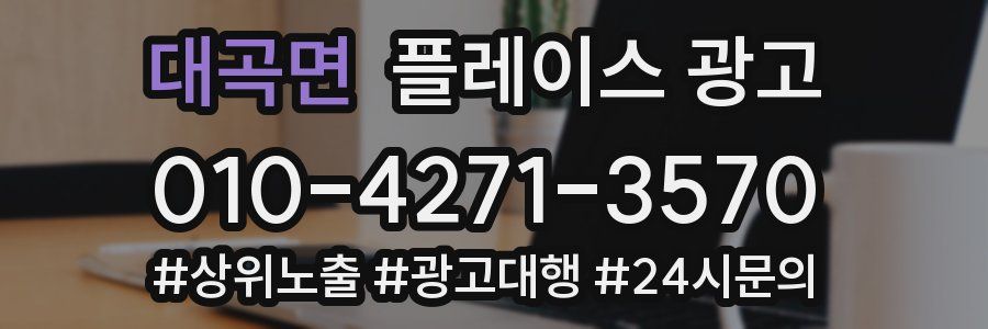 대곡면 플레이스 광고