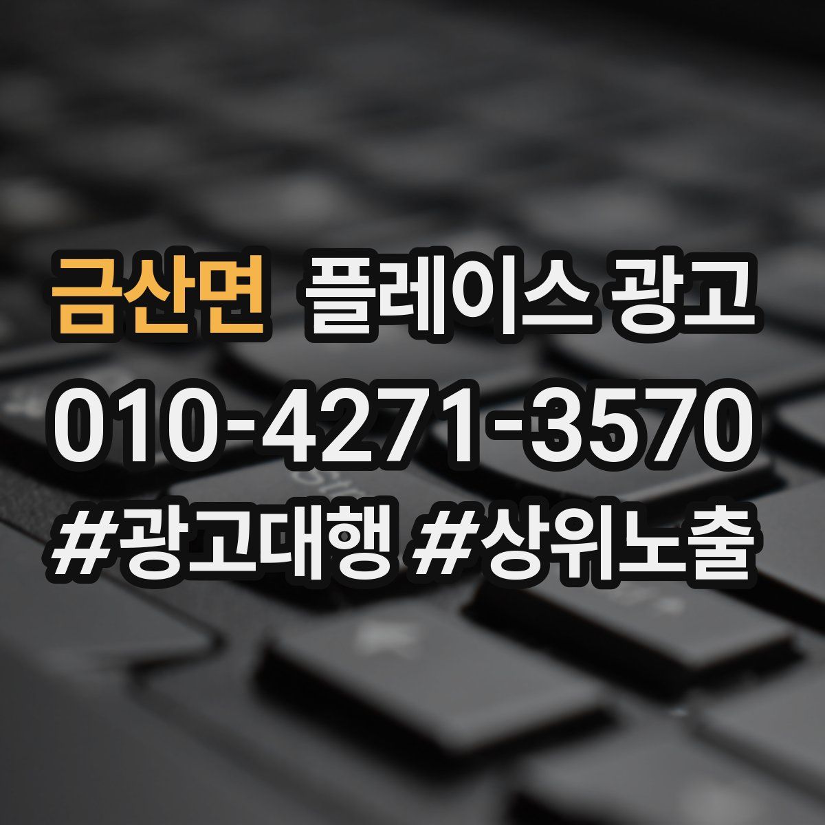 금산면 플레이스 광고