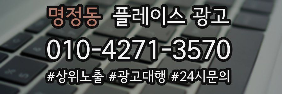 명정동 플레이스 광고