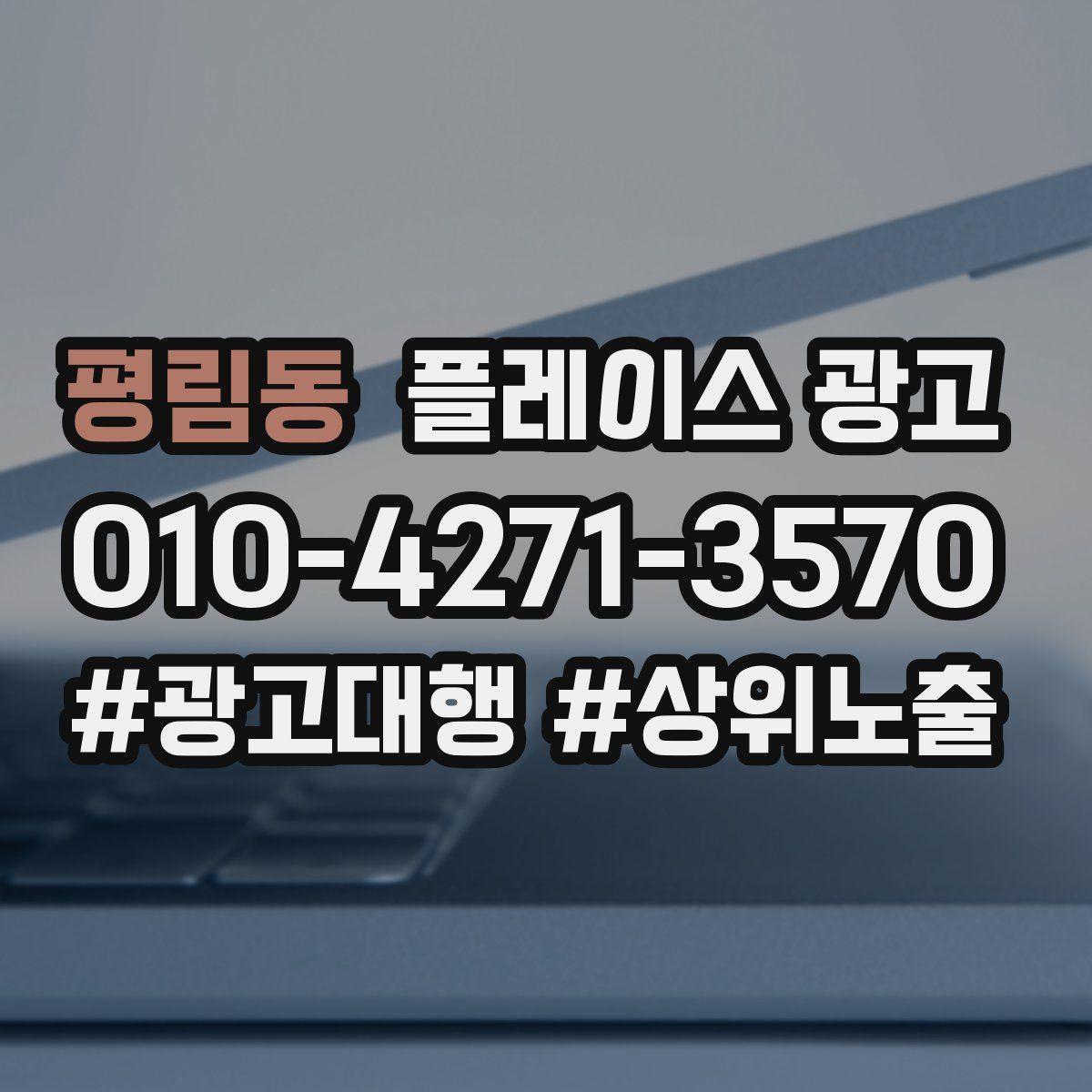 평림동 플레이스 광고