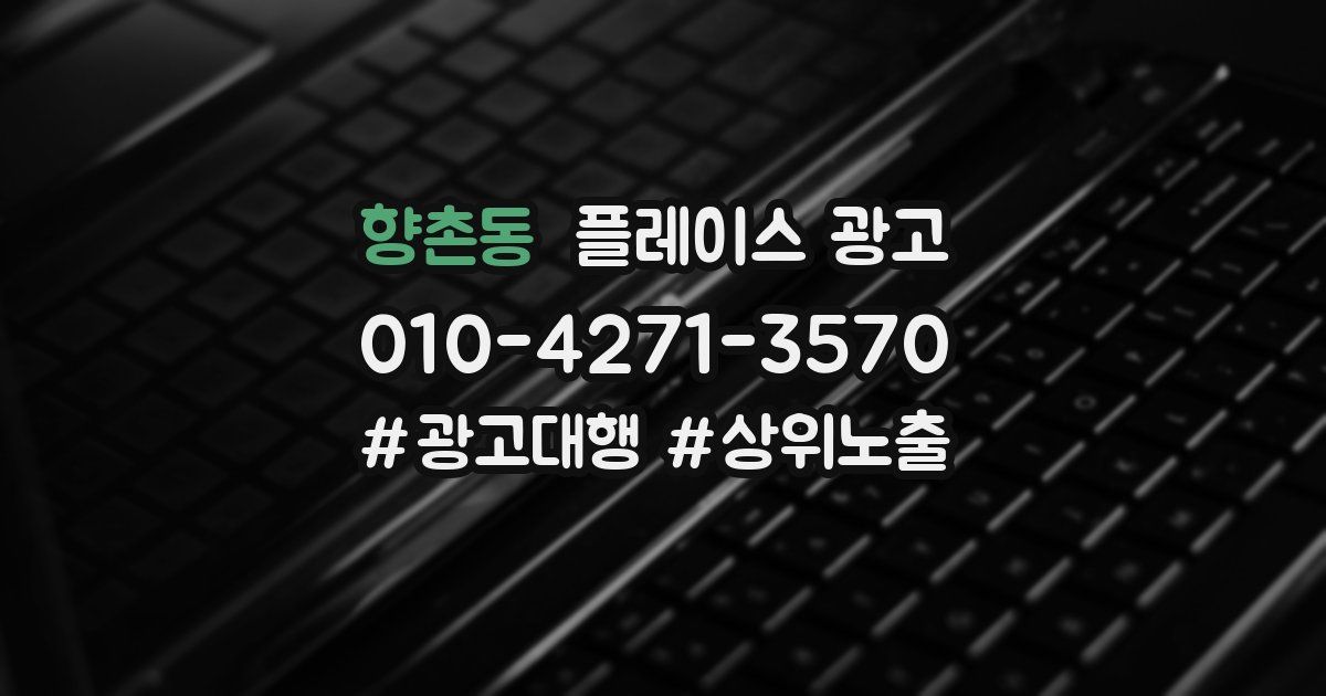향촌동 플레이스 광고