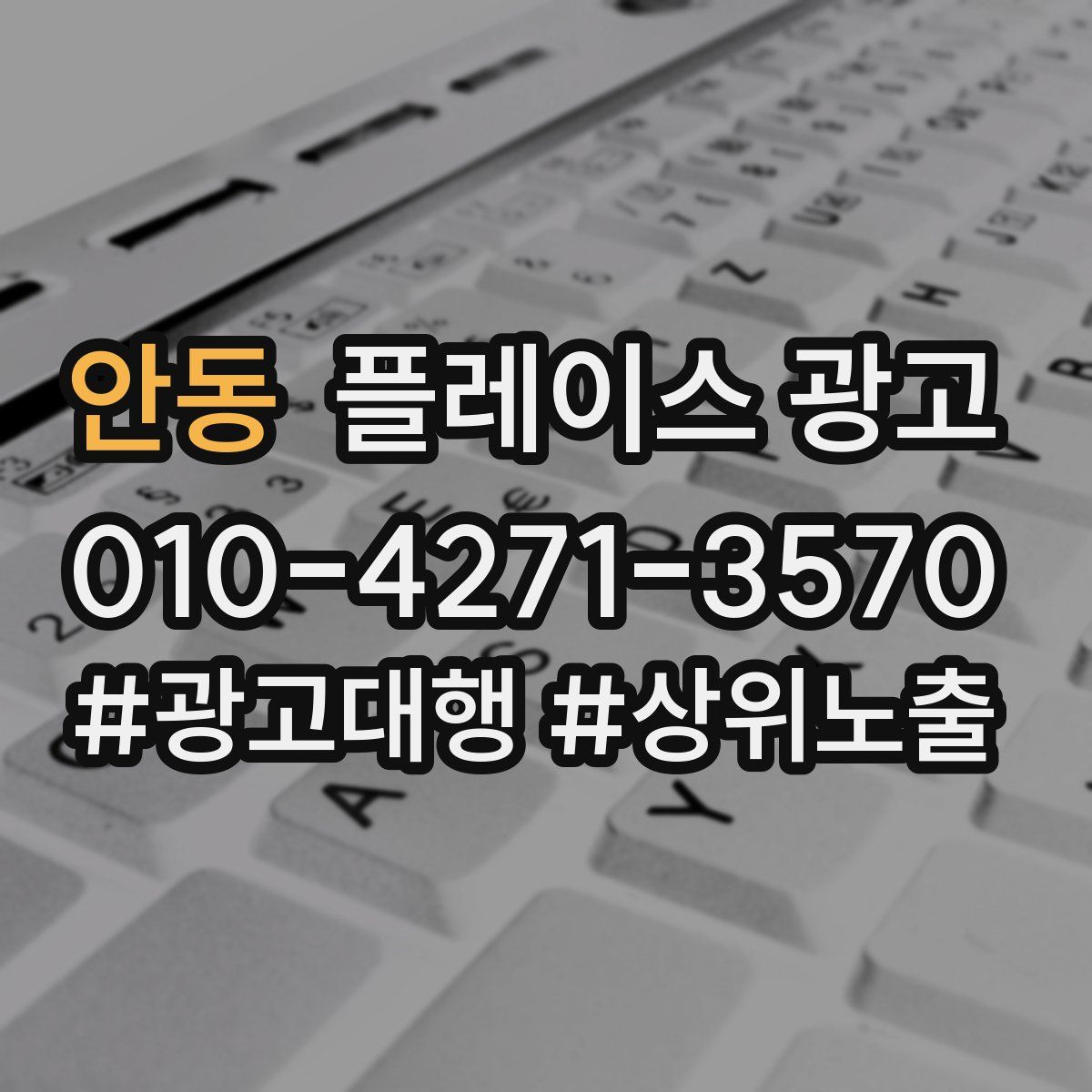 안동 플레이스 광고