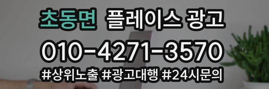 초동면 플레이스 광고