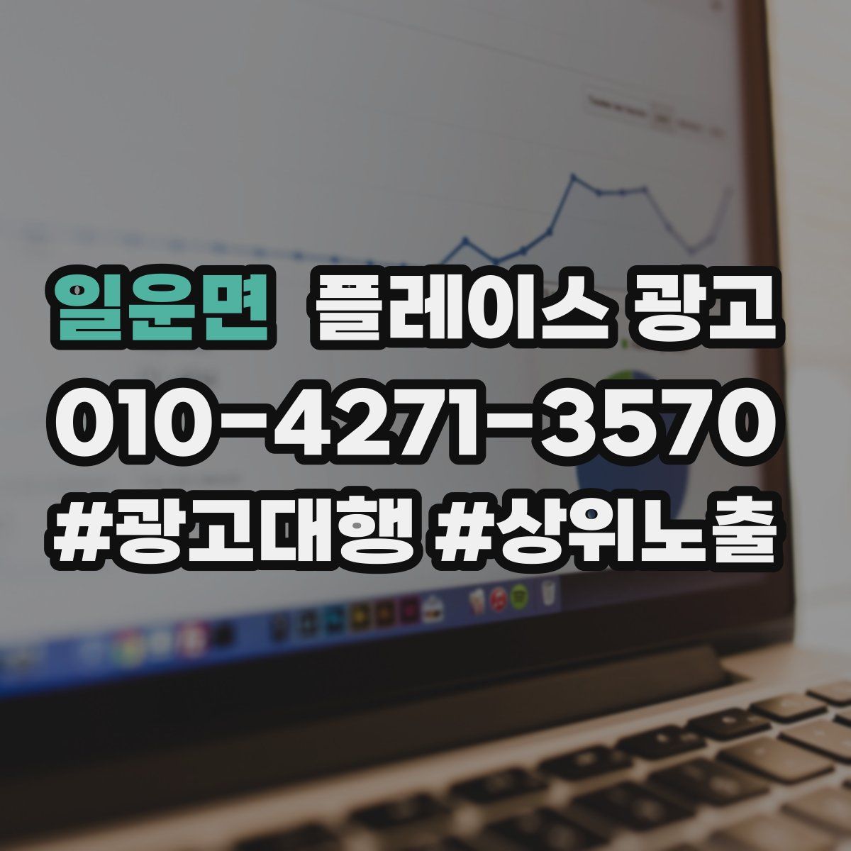 일운면 플레이스 광고